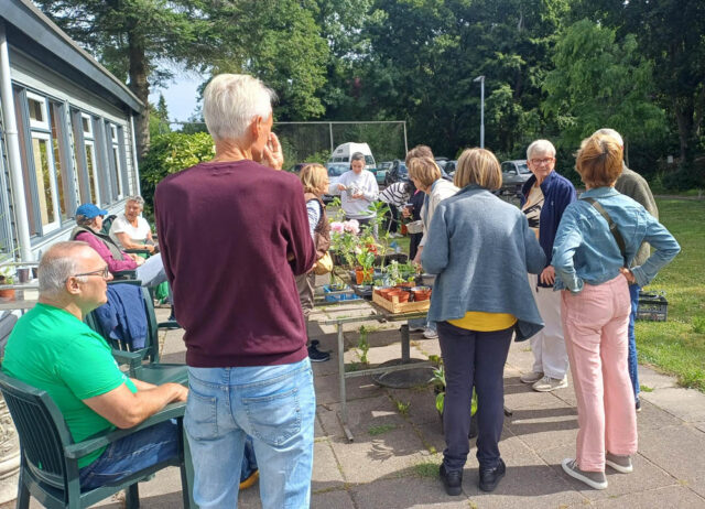 2026 06 plantjes dag-3