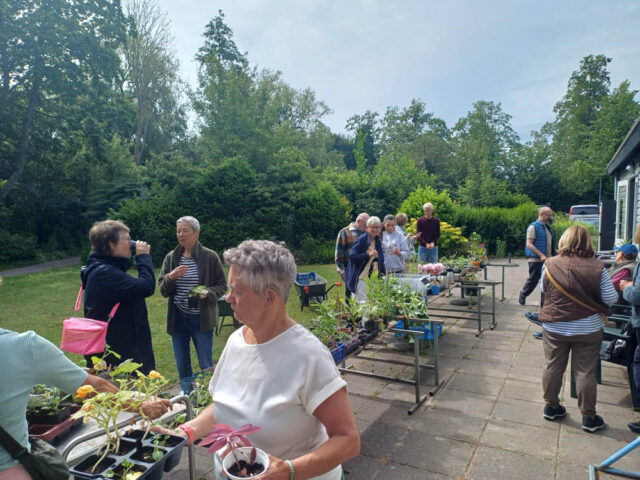2026 06 plantjes dag-4