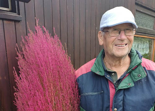 Knuffelplant van Ben