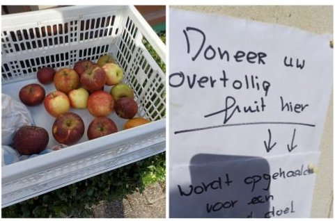 Fruitactie